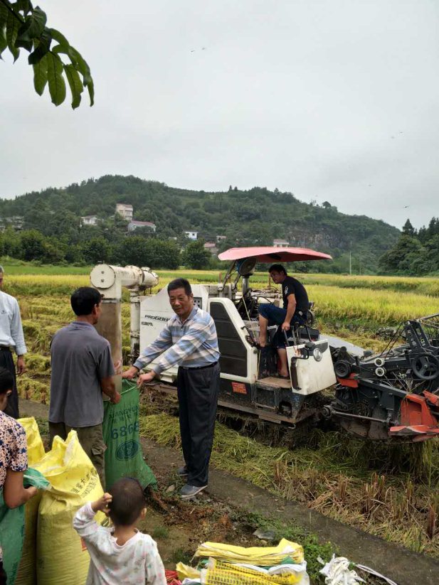 麻陽米米生態農業科技有限公司,富硒大米價格,糙米批發,麻陽大米加工,發芽糙米,芽米茶,營養粉