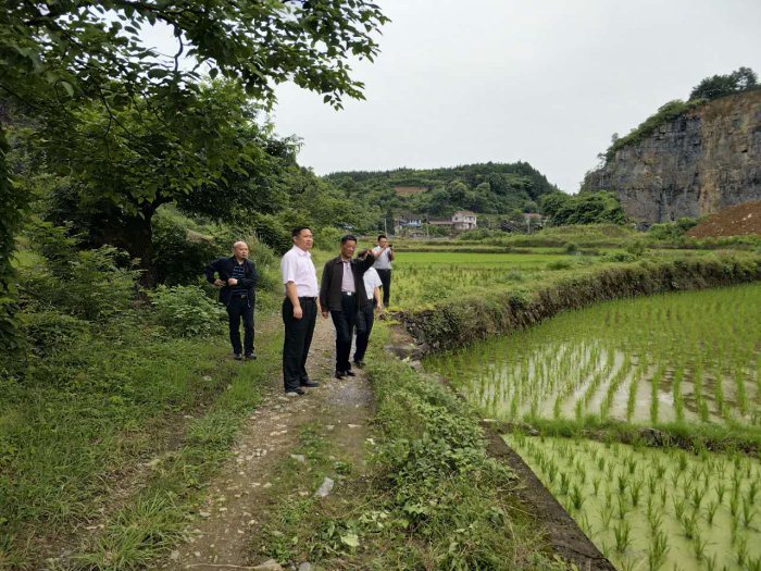 麻陽米米生態農業科技有限公司,富硒大米價格,糙米批發,麻陽大米加工,發芽糙米,芽米茶,營養粉