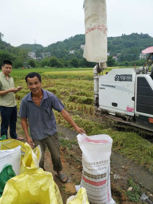 麻陽米米生態農業科技有限公司,富硒大米價格,糙米批發,麻陽大米加工,發芽糙米,芽米茶,營養粉