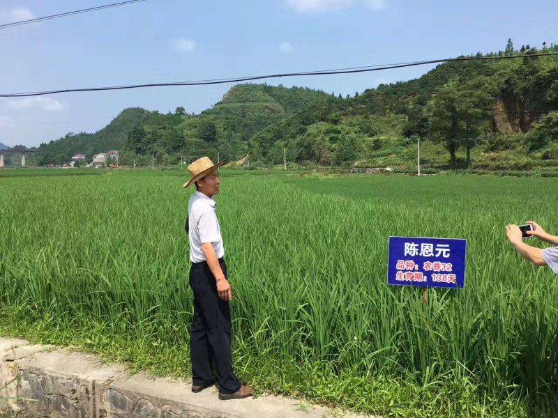 麻陽(yáng)米米生態(tài)農(nóng)業(yè)科技有限公司,富硒大米價(jià)格,糙米批發(fā),麻陽(yáng)大米加工,發(fā)芽糙米,芽米茶,營(yíng)養(yǎng)粉